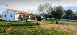 Domácí mazlíčci ubytovaní s hosty v ubytování Casa de Campo Los Manueles Ideal Perros Pet Friendly
