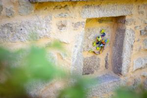 Fotografie z fotogalerie ubytování maison de la salamandre v destinaci Ribes