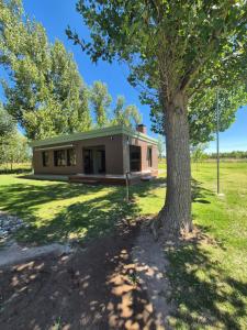 una casa con un albero davanti di VIÑAS DEL SOL a San Rafael