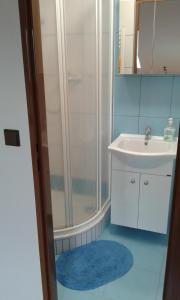 Koupelna v ubytování Apartment Olomouc