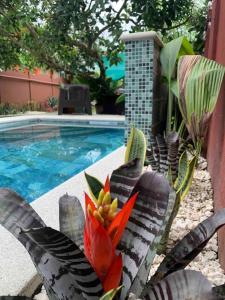 a flower on a chair next to a swimming pool at Villa JADE, La Fortuna Downtown Groups in Fortuna