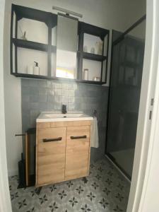 une salle de bain avec lavabo et douche dans l'établissement charmant 2 pièces, à Cormeilles-en-Parisis