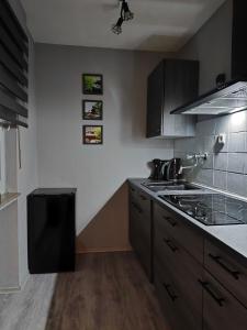 Η κουζίνα ή μικρή κουζίνα στο City Apartment Leonidas