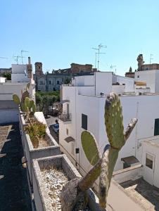 Foto dalla galleria di Salento Nardò Via Lopez a Nardò