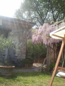 Dom z bandą wisterii wiszących na nim w obiekcie La Gabbianella e il Gatto w mieście Castellabate