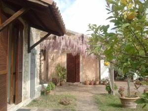 una casa con un montón de glicinas colgando de la puerta en La Gabbianella e il Gatto, en Castellabate