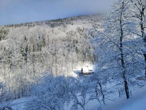 Imagine din galeria proprietății Krásná chatička în Krásná