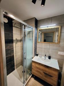 a bathroom with a sink and a shower at Studio cosy centre ville in Besançon