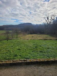 a field of grass with trees in the background at Gîte La nouette in Plémet