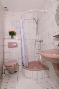 a bathroom with a shower and a toilet and a sink at Gästehaus Schmid-Lopez in Bad Wildbad +33 photos