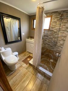 a bathroom with a shower with a toilet and a sink at La Serena Casa Cabaña de campo entre cactus y colibríes in La Serena