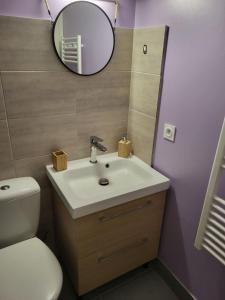 a bathroom with a sink and a mirror and a toilet at Le repos d'Aubrac in Laguiole +4 photos