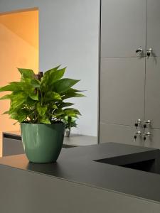 a potted plant sitting on a counter in a kitchen at Belô Home & Office in Belo Horizonte