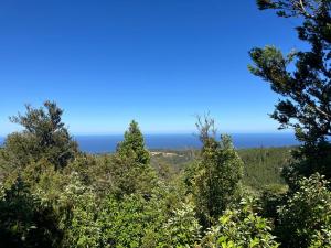 a view of the ocean through the trees at Cabaña VIDA en Oncol in Valdivia