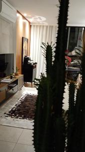 an office with a plant in the middle of a room at Luxury Paiva Flat in Recife