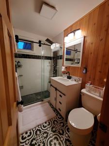 a bathroom with a toilet and a sink and a shower at Pleasant Brook Cottage in Roxbury