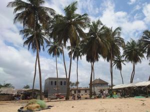 eine Gruppe von Palmen an einem Sandstrand in der Unterkunft Red Villa on Lionsrest 