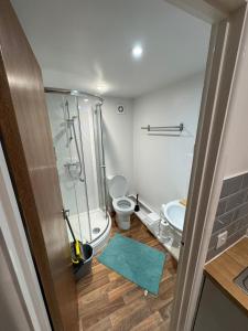 Koupelna v ubytování A cosy apartment