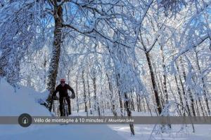 Le 14 Chalets Howard - Spa-Shower-Hammock-Bromont iarna