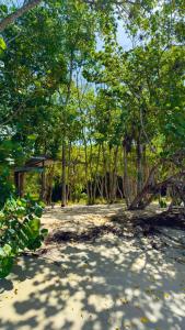 Giardino di Serenity at Buccoo, Ensuite Room