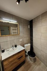 a bathroom with a sink and a toilet and a mirror at Studio cosy centre ville in Besançon +3 photos