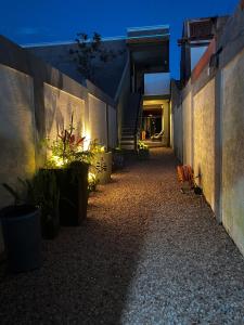 an empty alley with plants and stairs at night at Amoras suítes in Sao Jorge