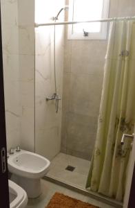 a bathroom with a shower and a toilet and a sink at Departamento Buena Vista in Leones