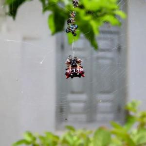 Gallery image of Rakshi's in Jaffna