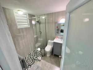 a bathroom with a shower and a toilet and a sink at Vacation Rental Ceiba PR B16 in Ceiba +17 photos