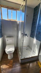 a bathroom with a toilet and a shower at La Casa de Coke in Hualaihué