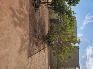 Φωτογραφία από το άλμπουμ του Entire House à Bamako σε Bamako