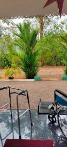 Zahrada ubytování Kuttickattil Pool Home Stay Kumarakom