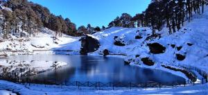 a river covered in snow with trees in the background at Restaurant n Night Stay in Kharāg