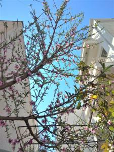 Fotografie z fotogalerie ubytování Άνετο ισόγειο διαμέρισμα με αυλή v destinaci Volos