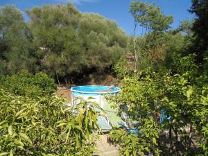 a pool in the middle of a garden with trees at La Casita in Manacor