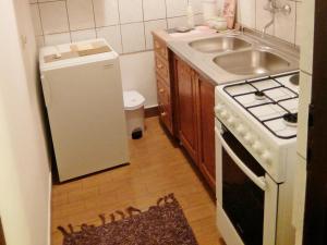 a small kitchen with a sink and a refrigerator at Apartment Rendulic in Rakovica +24 photos
