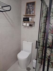 a bathroom with a toilet and a shower at La Lunita in Valverde