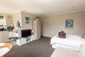 Μια τηλεόραση ή/και κέντρο ψυχαγωγίας στο Haven in Taupō