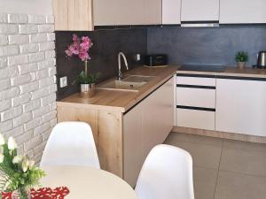 Kuchyň nebo kuchyňský kout v ubytování Apartament Blue Polana Szaflarska
