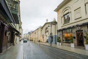 una calle adoquinada en una ciudad con edificios en Cozy studio and standard apartments in the heart of Oldtown, en Vilna