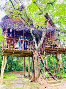 Zahrada ubytování Atha Tree House + 28 fotografií