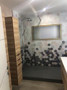 a bathroom with a shower with a television on the wall at Les Platanes in Duingt +18 photos