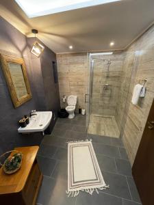 Koupelna v ubytování Camera Stejar - CĂTUN