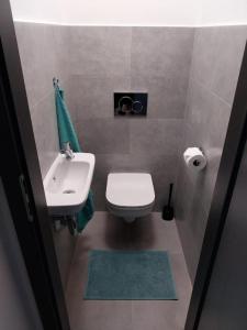 Koupelna v ubytování City Center Apartments - Moderna Brno Římské náměstí I