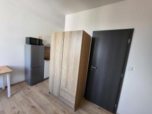 Kuchyň nebo kuchyňský kout v ubytování City Center Apartments - Moderna Brno Římské náměstí I