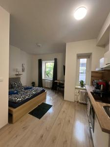 Postel nebo postele na pokoji v ubytování City Center Apartments - Moderna Brno Římské náměstí I