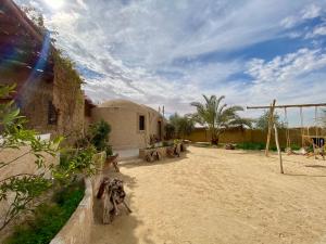 a group of dogs walking around in a dirt field at Grand Siwa in Siwa