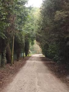 Paesaggio naturale nelle vicinanze dell'appartamento