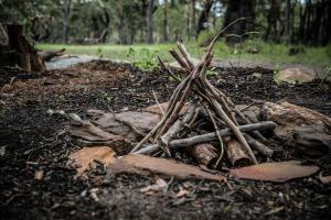 une pile de branches et de grumes au sol dans l'établissement Solitary Islands Farm Tiny House by Tiny Away, à Arrawarra