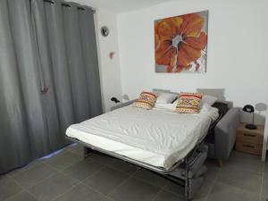 a hospital bed in a room with a curtain at Sympa Studio totalement équipé in Saint-Germain-de-Joux
